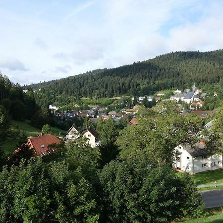 Zum Schwalbennest Apartment Тодтмос Екстериор снимка