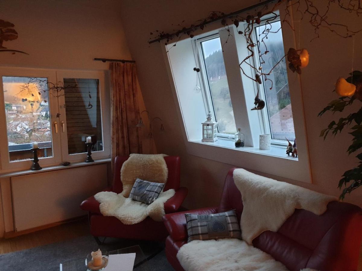 Zum Schwalbennest Apartment Тодтмос Екстериор снимка