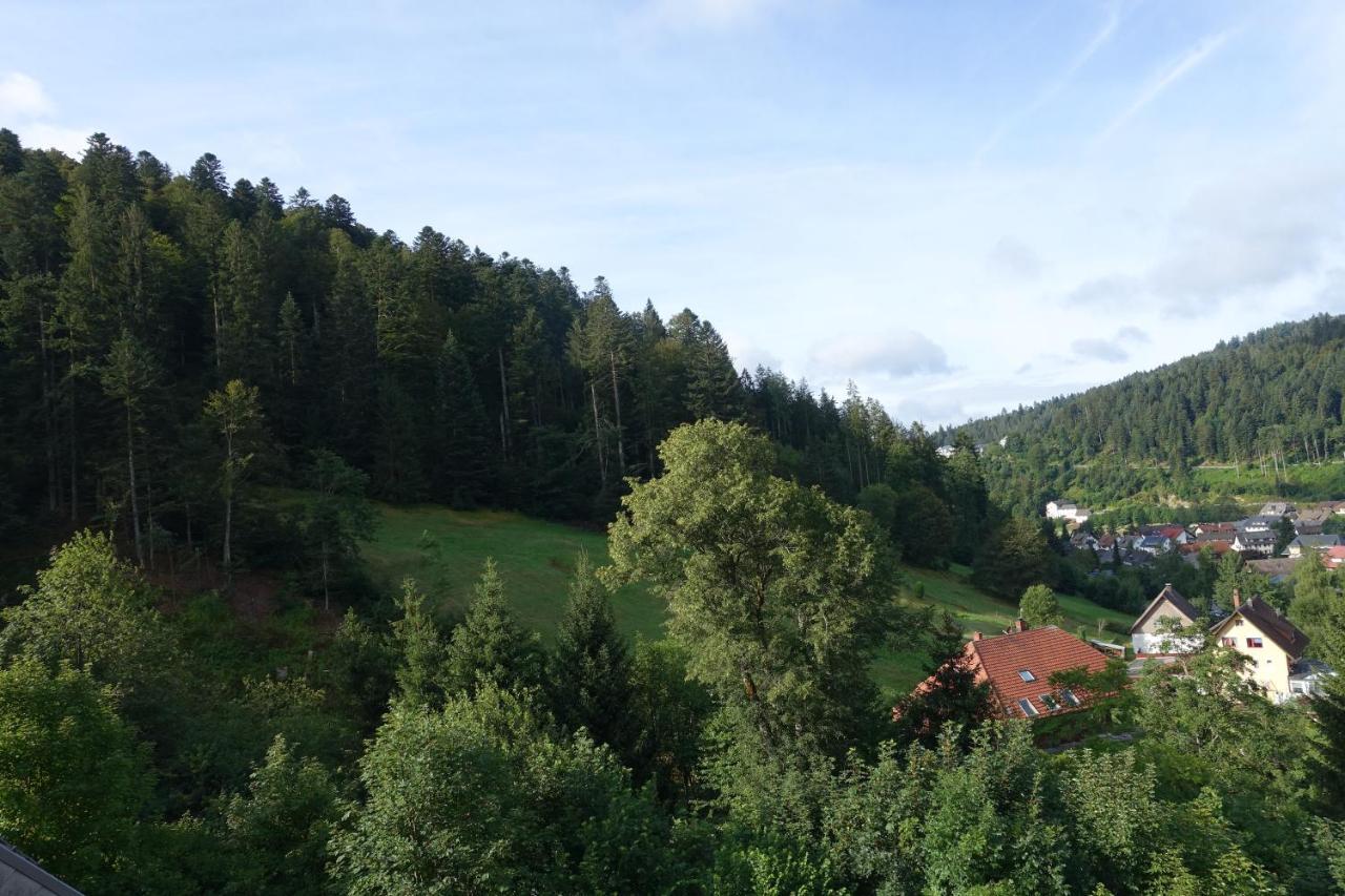 Zum Schwalbennest Apartment Тодтмос Екстериор снимка