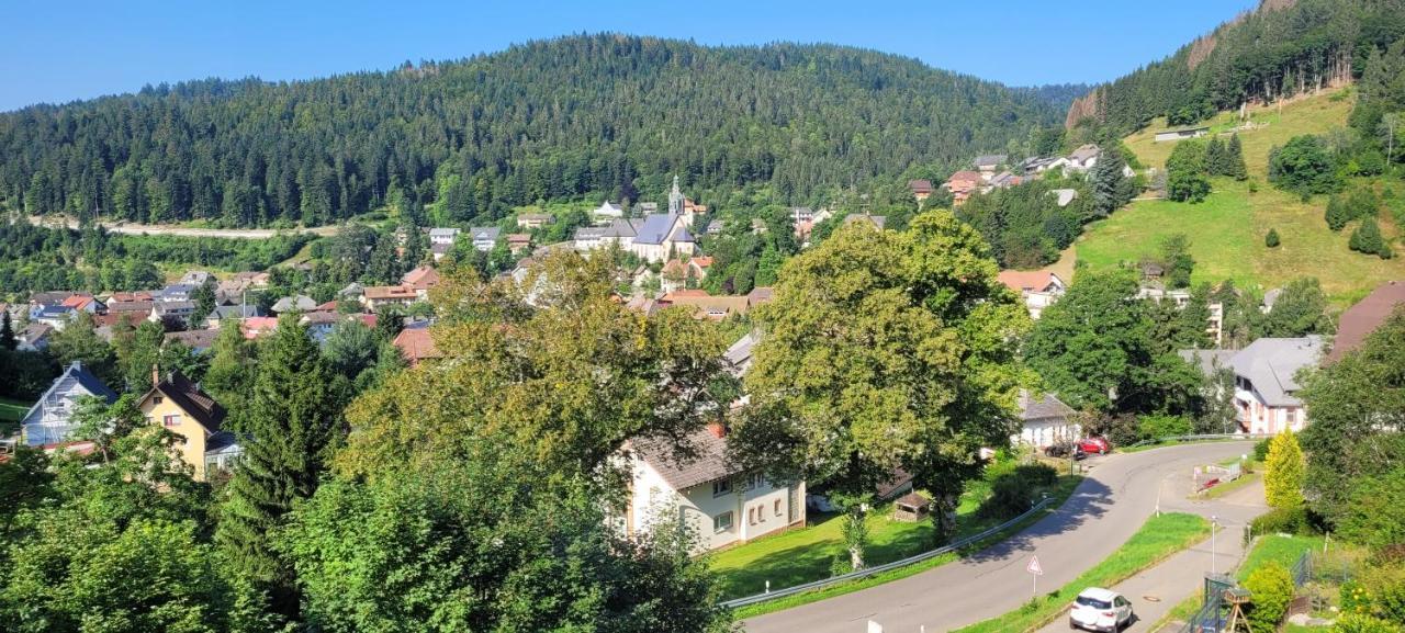 Zum Schwalbennest Apartment Тодтмос Екстериор снимка