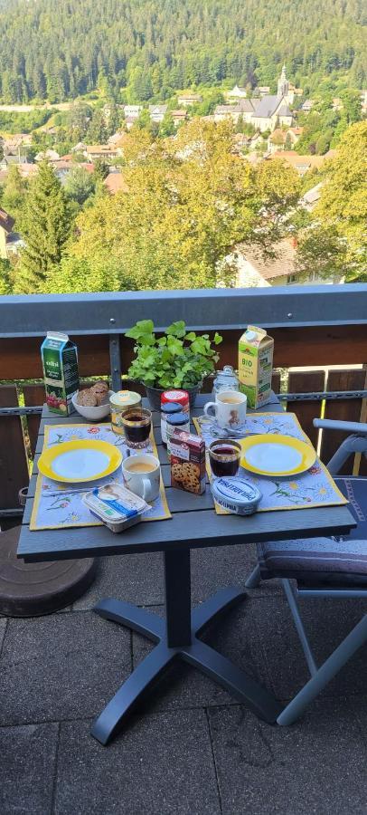 Zum Schwalbennest Apartment Тодтмос Екстериор снимка