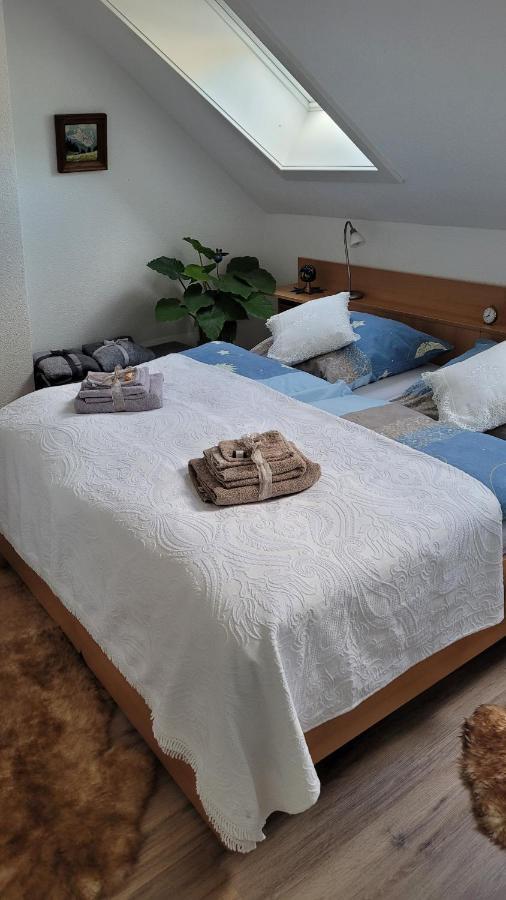 Zum Schwalbennest Apartment Тодтмос Екстериор снимка