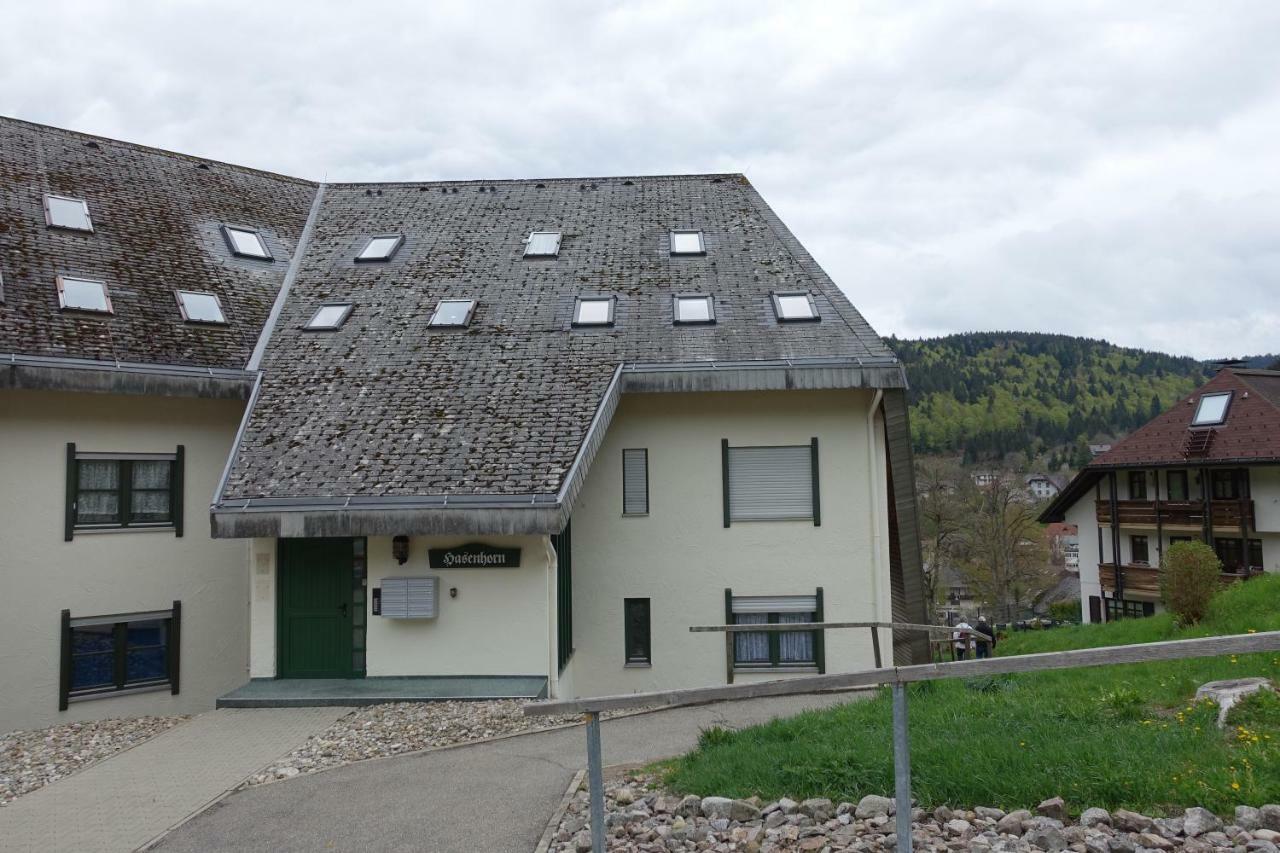 Zum Schwalbennest Apartment Тодтмос Екстериор снимка