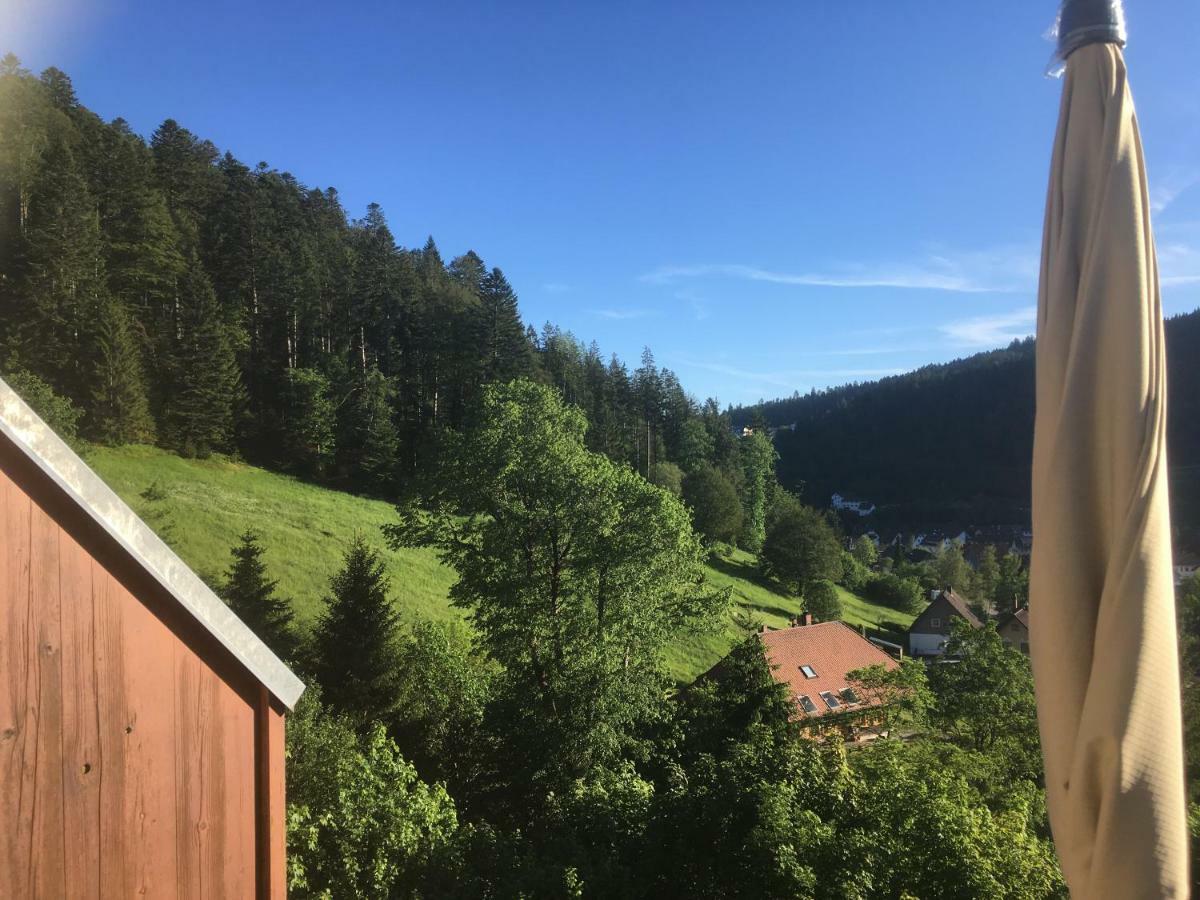 Zum Schwalbennest Apartment Тодтмос Екстериор снимка