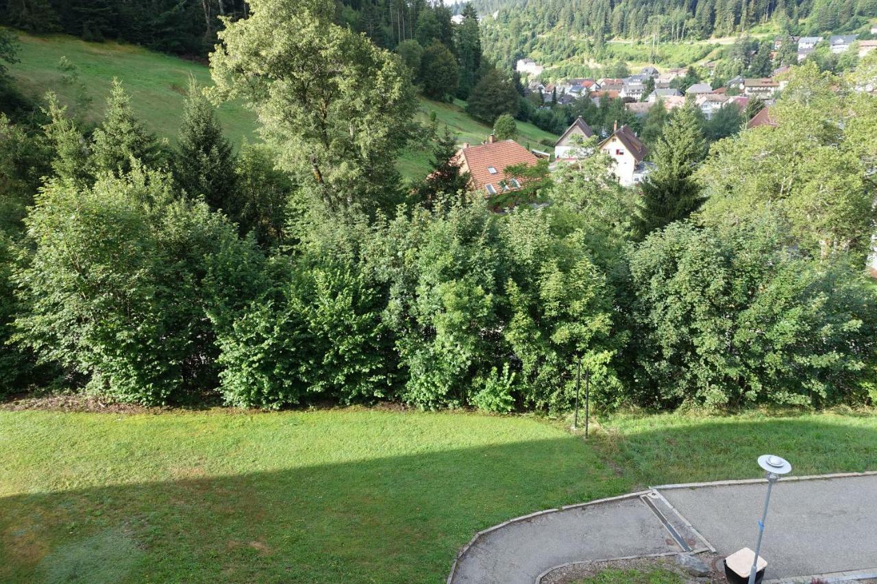 Zum Schwalbennest Apartment Тодтмос Екстериор снимка