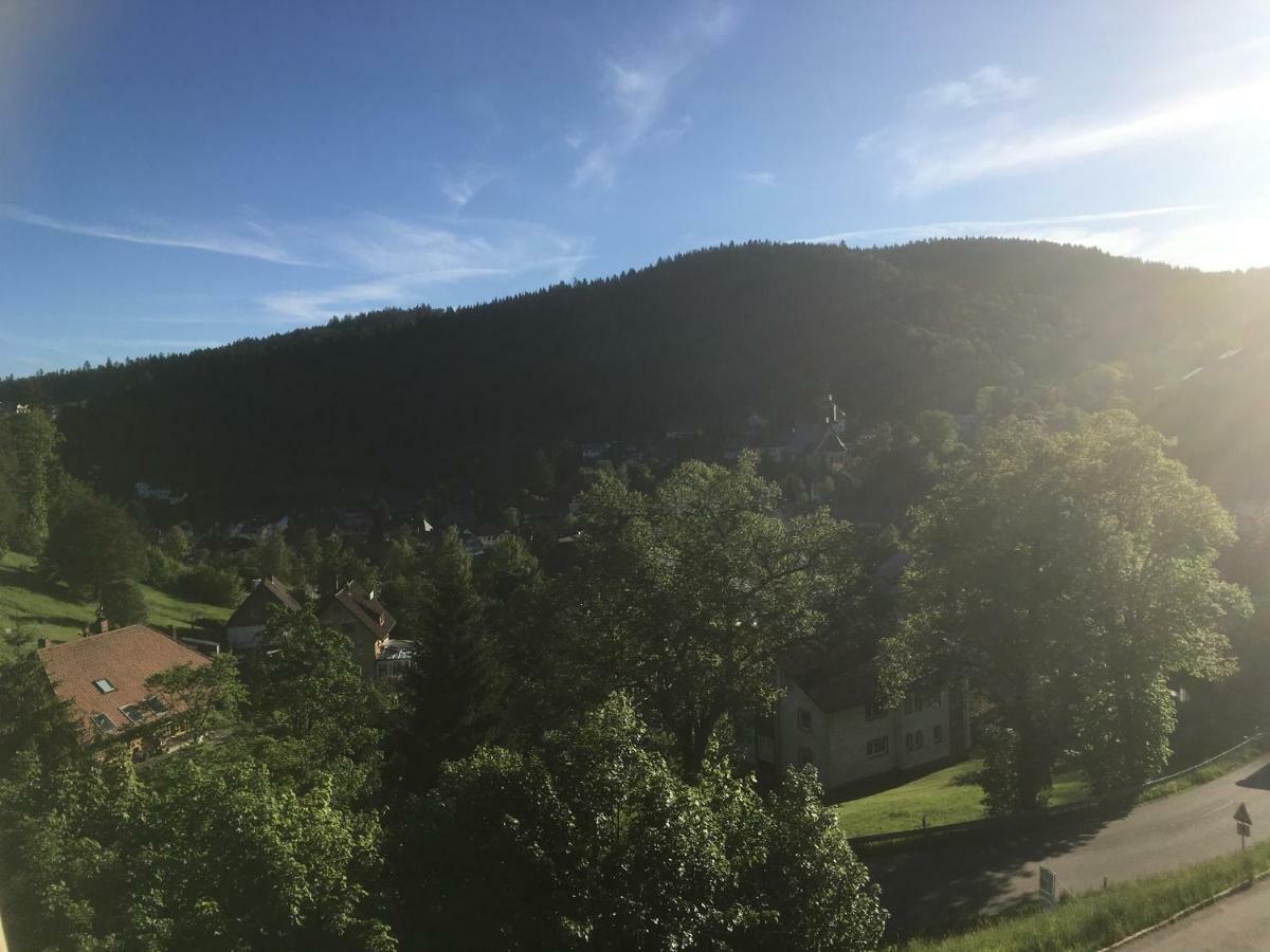 Zum Schwalbennest Apartment Тодтмос Екстериор снимка